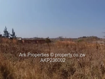 Stand in Charlotte Brooke 