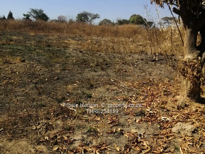 Karoi plot for sale