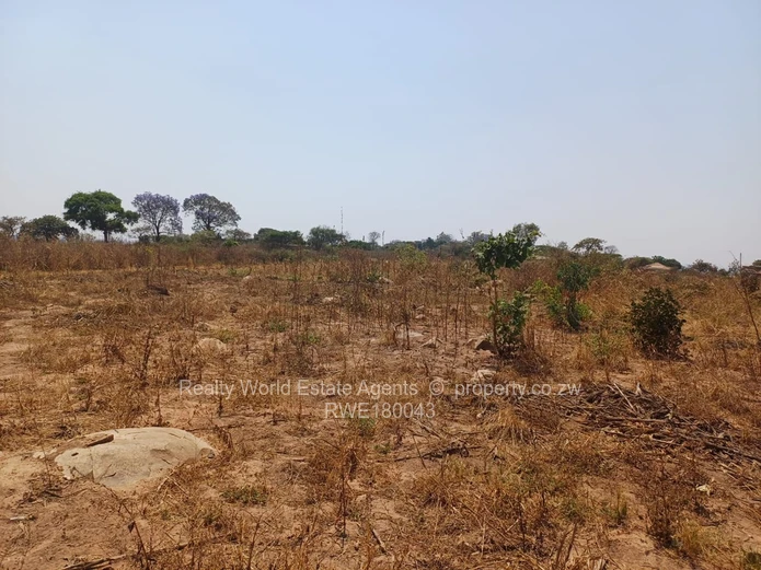 Rydale Ridge Stand For Sale 