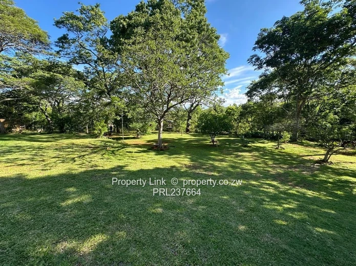 New Release! - Borrowdale Brooke