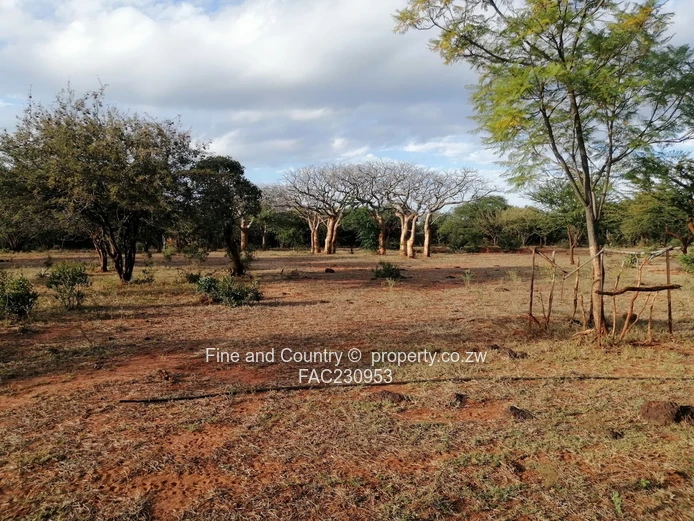 Nyamandlovu Farm for Sale