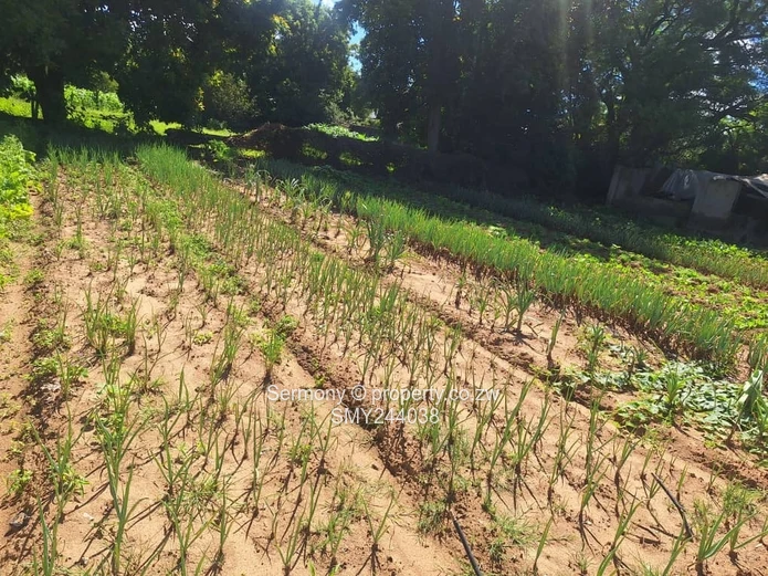 Agro - Residential Plots For Sale