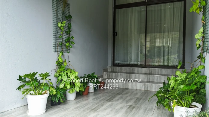 Carrick Creagh Gem For Sale!