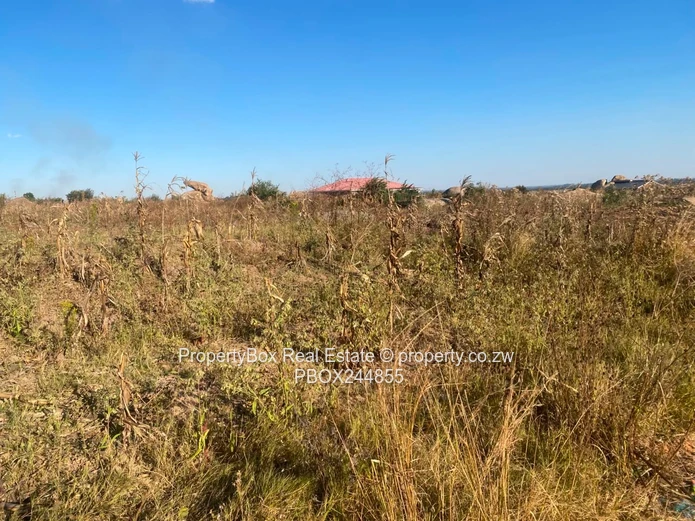 Vacant Stand for Sale in Hatfield Estate