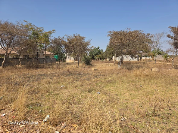 Stands & Residential Land