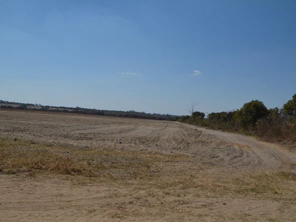 Farm & Agricultural Land