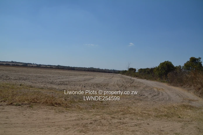 1ha Goromonzi Farm — Arable Field by Gravel Main Road