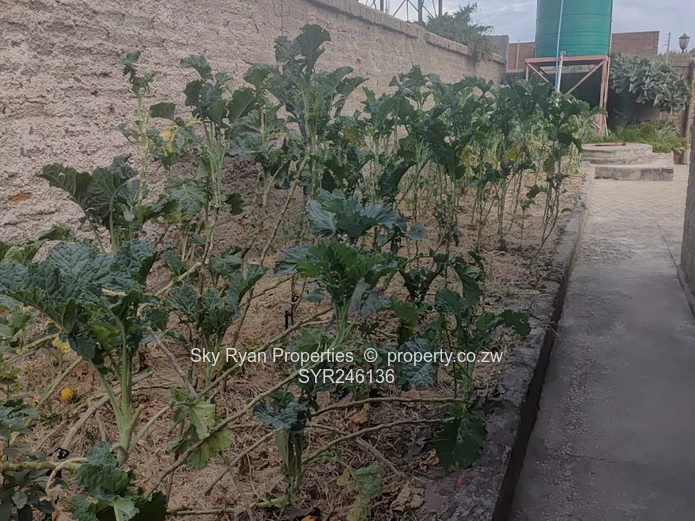 Zimre Park House For Sale