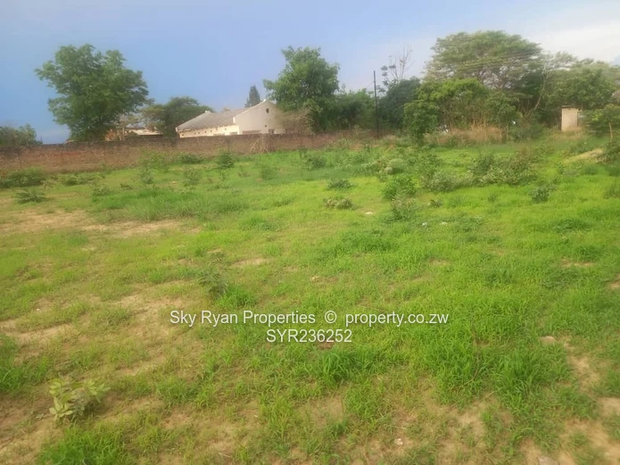 Chinhoyi Mapako Stand For Sale
