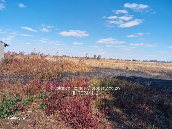 Chance to develop an Estate