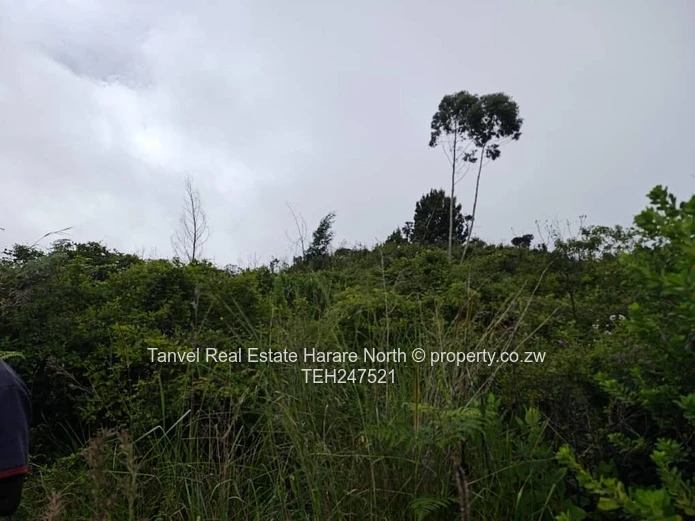 *NYANGA 5 HECTARES PLOT FOR SALE.*  10 mins drive from PACKSHADE INN 