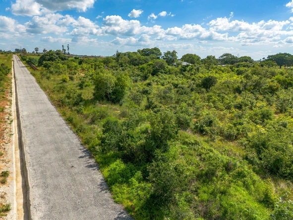 Farm & Agricultural Land