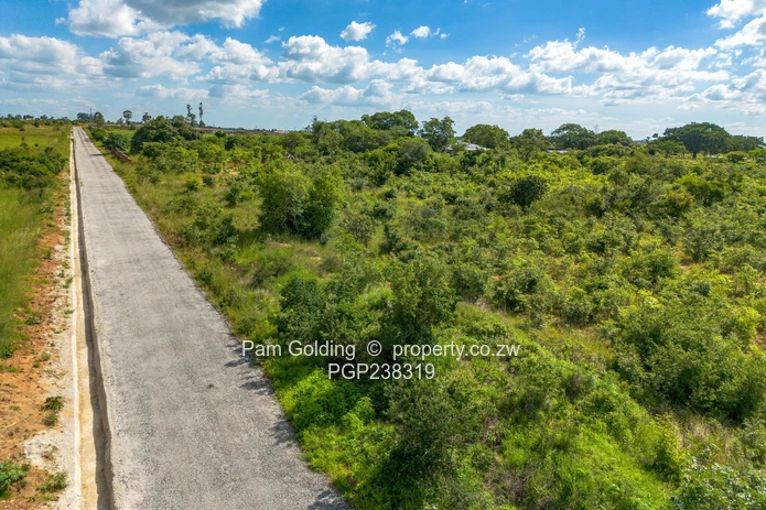Perfect Agro-Residential Plot (Sole Mandate)