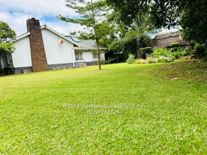 Furnished Home in Alex Park | Opposite Hellenic School