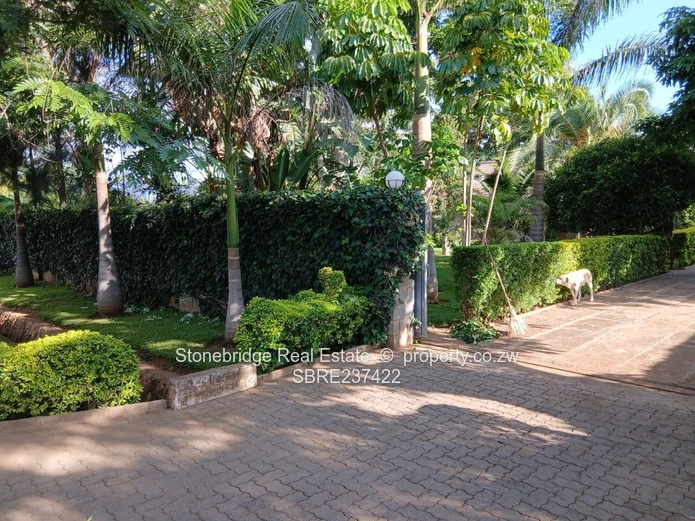 Elegant 3 Bedroomed Famona house to rent