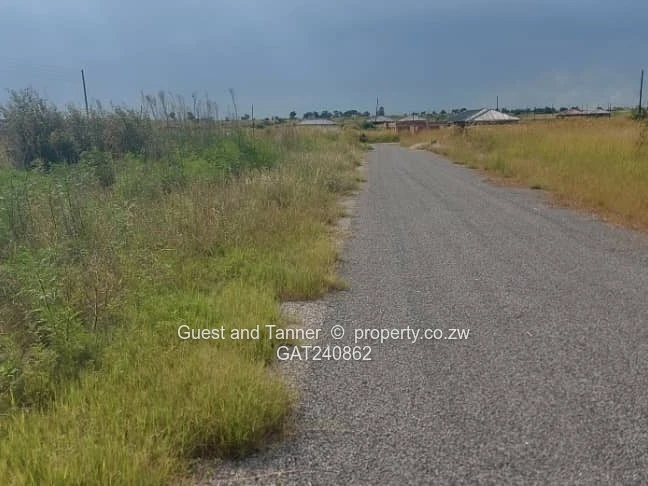 A Choice of 2 Nyabira Rosewood Stands for Sale