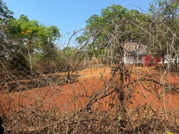 Land