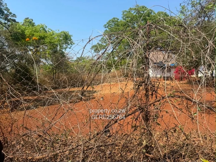 41ha Borrowdale Acreage with Mature Trees & Road Frontage