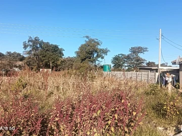 Stands & Residential Land