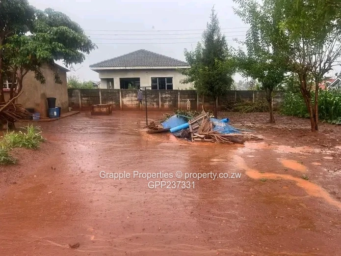 Cold comfort stand for sale