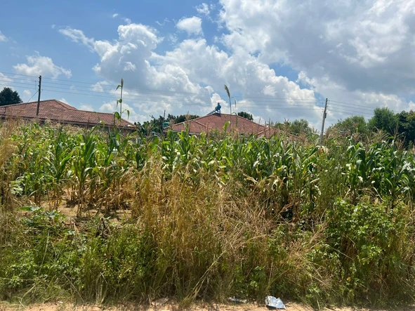 Commercial & Industrial Land