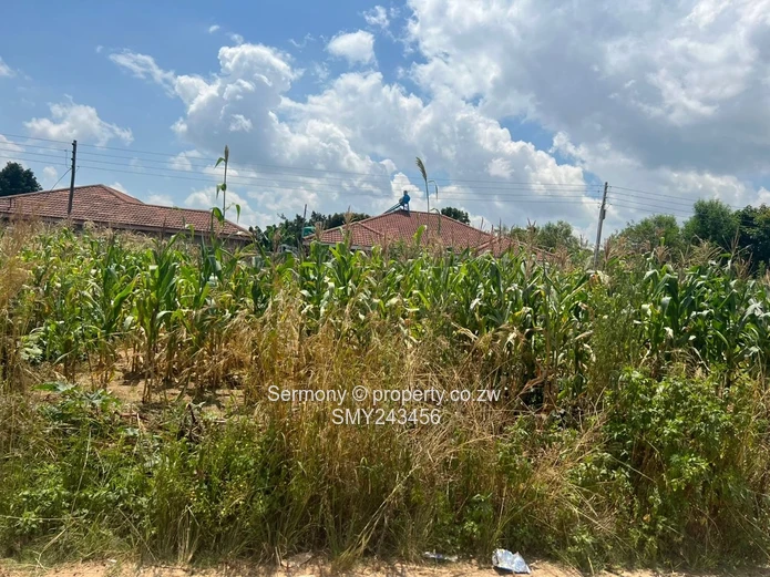 Industrial Stand For Stand In Damofalls (Sole Mandate)