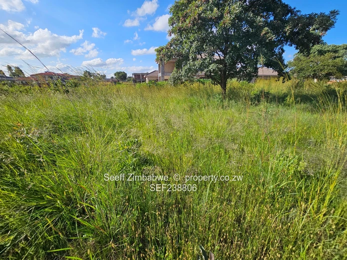 Investment opportunity in Arlington! (Sole Mandate)