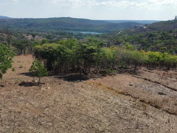 Farm & Agricultural Land