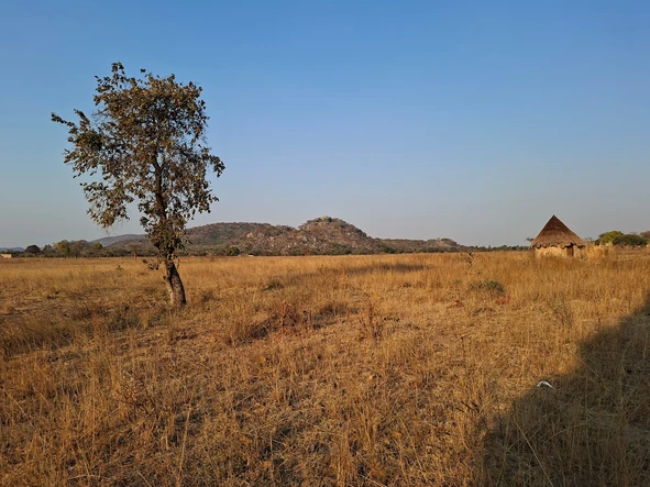 Farm & Agricultural Land