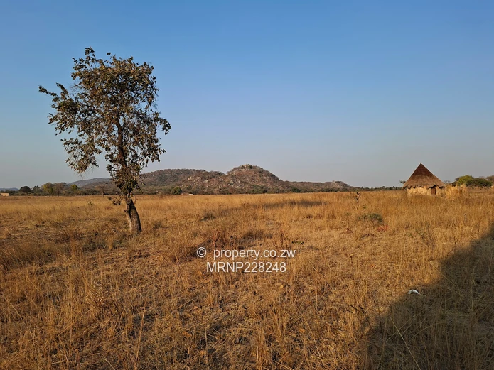 Headlands Eagle Nest Plot for sale (Sole Mandate)