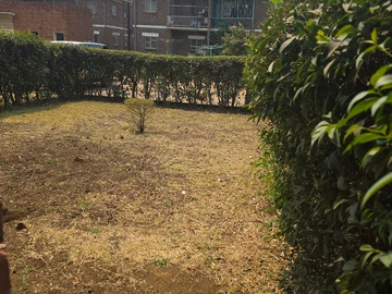 2 Bedroom Flat & Apartment