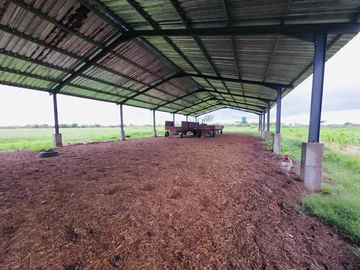 Farm & Agricultural Land