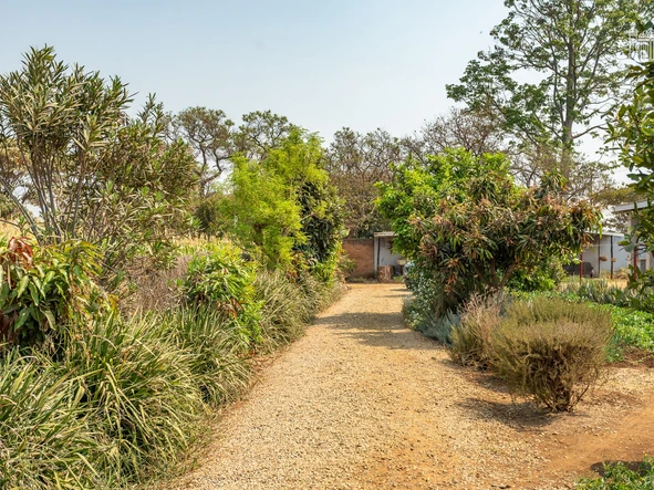 Farm & Agricultural Land