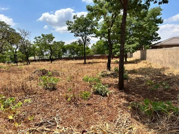 Stands & Residential Land