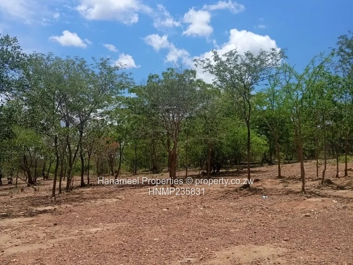 Kadoma Plot