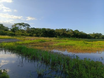 Farm & Agricultural Land