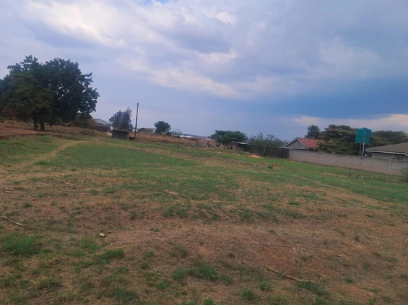 Stands & Residential Land