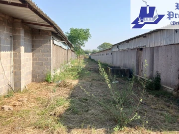 Farm & Agricultural Land