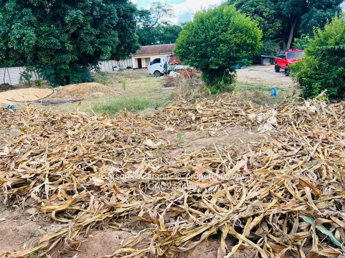 Subdivision stand for sale