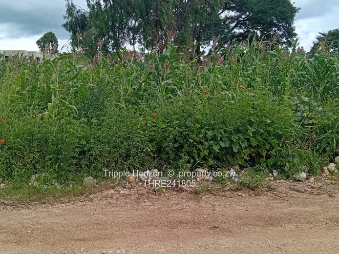 2300 m² Hogerty Hill: Ready Residential Land