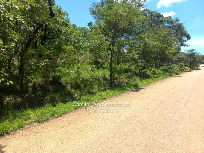 2000sqm stand with title deed in Shawasha on flat land:TERMS ACCEPTED 