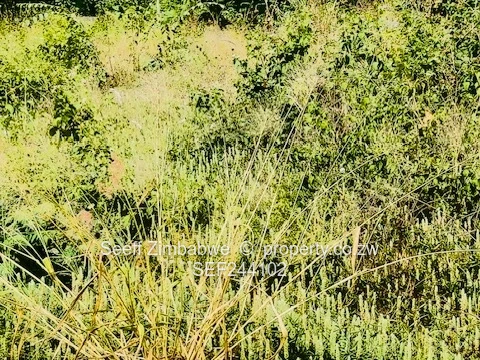 Hatfield 3,141m² Subdivision with Title Deeds land 