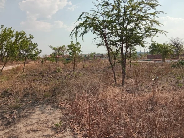 Stands & Residential Land