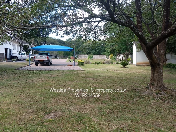 Grab this massive gem