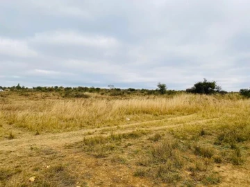 Farm & Agricultural Land