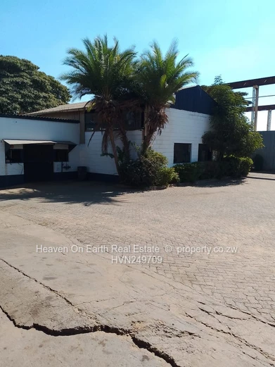 Industrial Giant For Sale