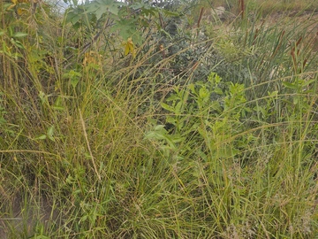 Farm & Agricultural Land