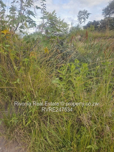 53ha Beatrice Farm — , Dam & Grassy Arable Land (Sole Mandate)