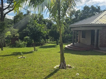 Farm & Agricultural Land