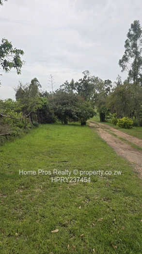 To Let -  Spacious Property In Hatfield Available Immediately (Sole Mandate)